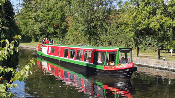 Tribute to Anne Halsey